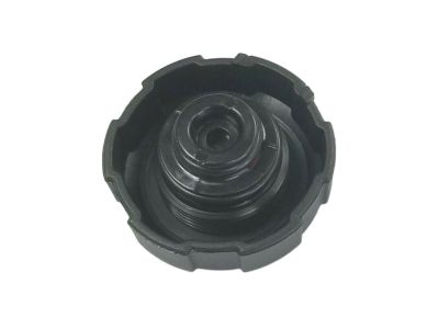 Genuine Kia Radiator Filler Cap 25330D3000 image 1
