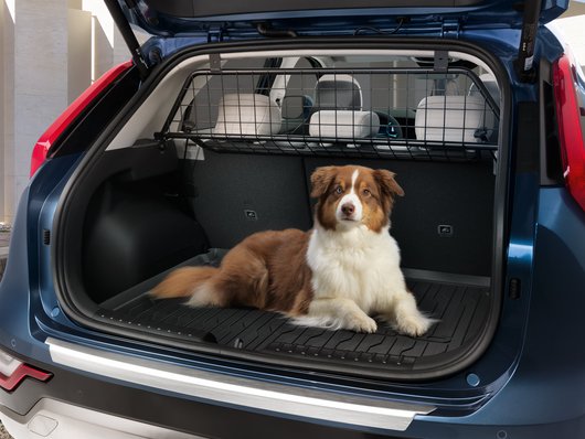 Kia Niro (SG2) - Dog Guard / Cargo Seperator AT150ADE00 image 1